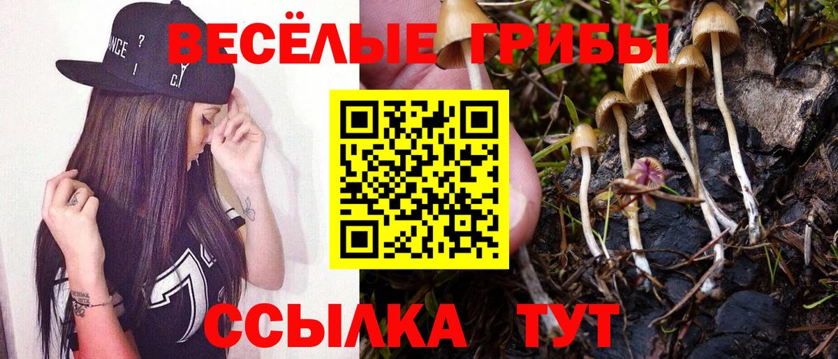 Коркино  Галлюциногенные грибы GOLDEN TEACHER  Вход с VPN 